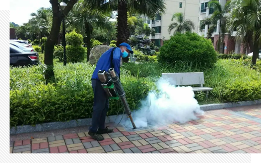 虫控实施