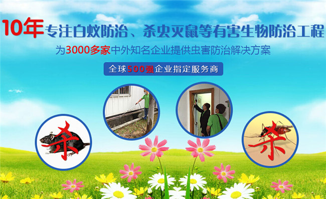 灭白蚁上门服务电话_上门灭白蚁收费标准_上门灭白蚁电话服务是真的吗