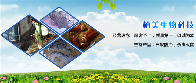 上门灭白蚁收费标准_上门灭白蚁电话服务是真的吗_灭白蚁上门服务电话