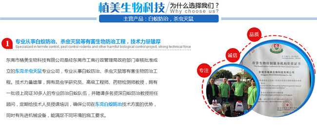 灭白蚁上门服务电话_上门灭白蚁电话服务是真的吗_上门灭白蚁收费标准
