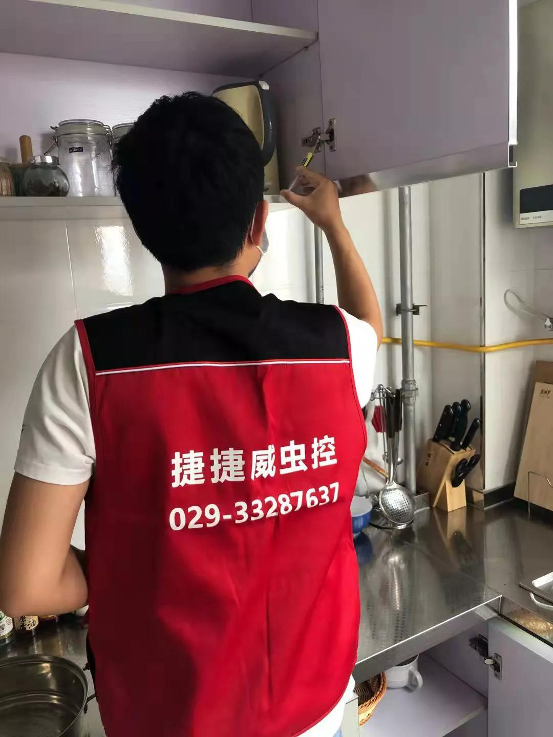 灭蟑螂用药_灭杀蟑螂药_灭蟑螂药