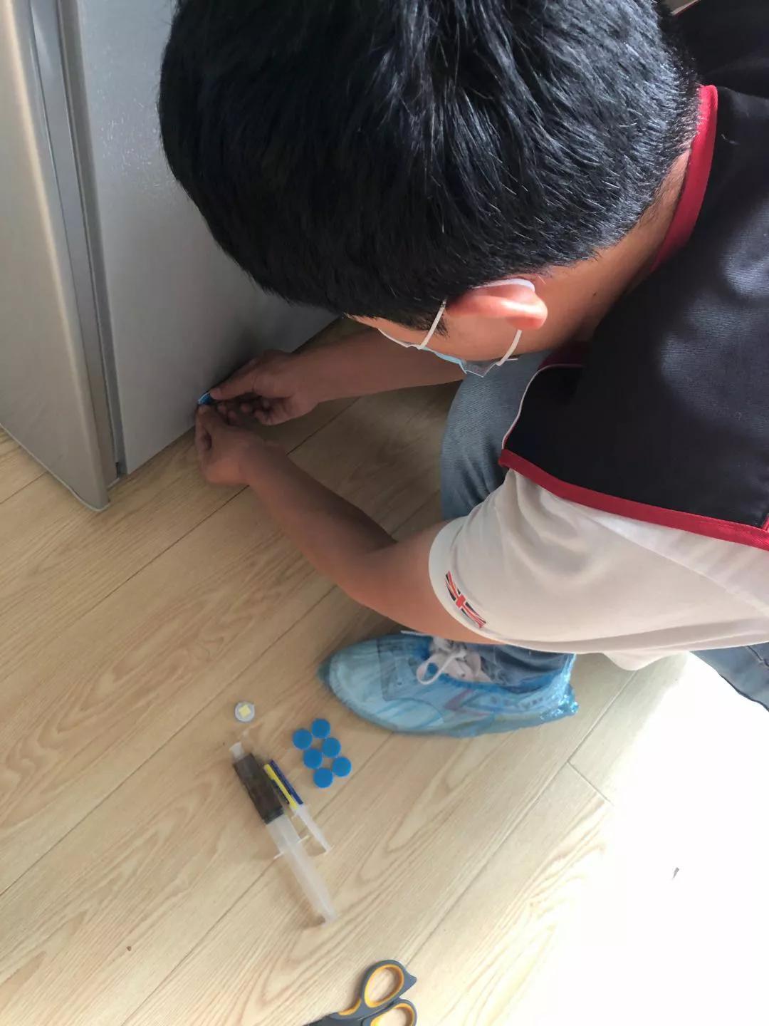 灭蟑螂药_灭蟑螂用药_灭杀蟑螂药