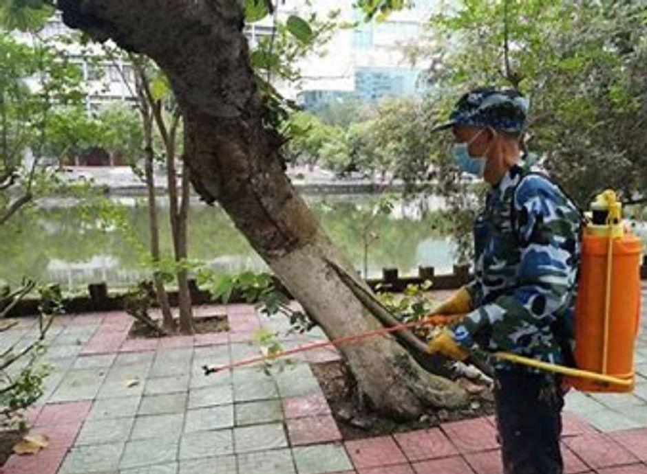 灭臭虫视频_灭臭虫神器_灭臭虫用什么药和什么办法