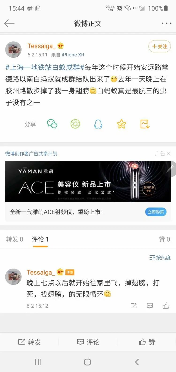 灭白蚁一年后又发现白蚁怎么办_白蚁灭了还会反复吗_白蚁灭杀后能维持多少时间