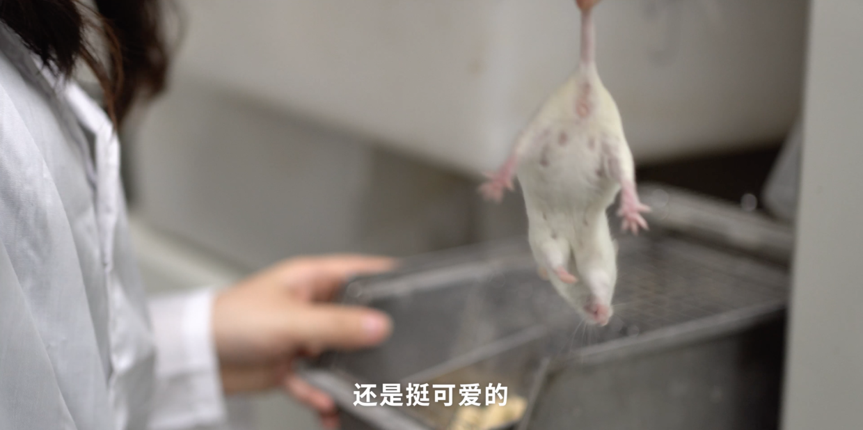 灭蟑螂药_灭杀蟑螂药_灭蟑螂用药