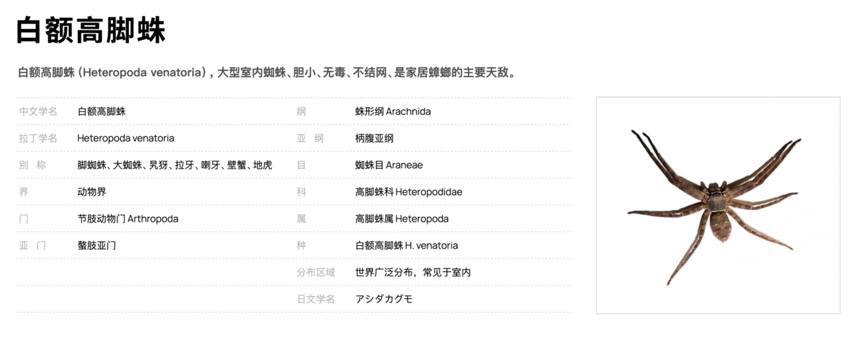 灭蟑螂用药_灭杀蟑螂药_灭蟑螂药
