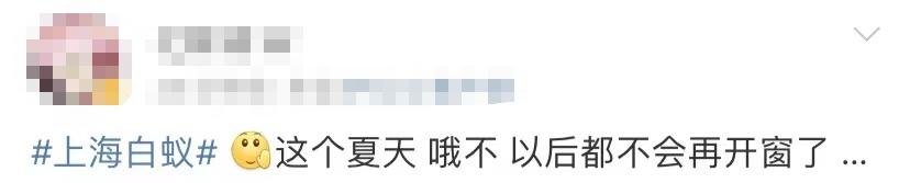 白蚁灭完后怎么处理_白蚁灭了还会反复吗_灭白蚁一年后又发现白蚁怎么办
