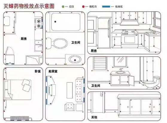 灭蟑螂药_蟑螂药灭蟑螂_灭杀蟑螂药