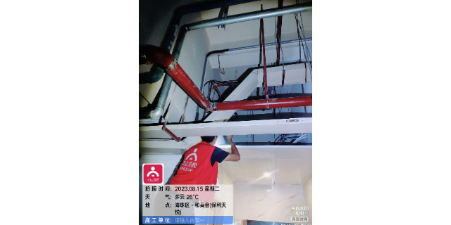 快速灭老鼠好方法,灭老鼠