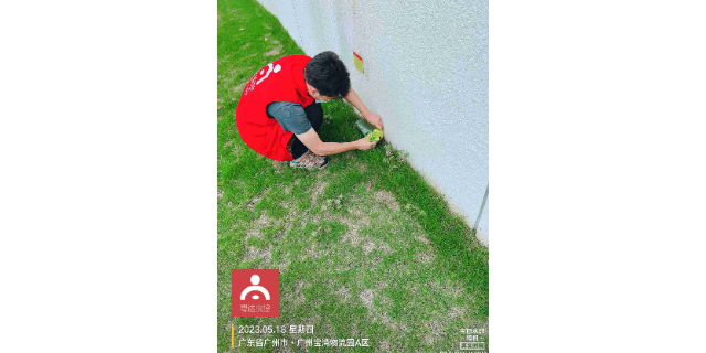 快速灭老鼠好方法,灭老鼠