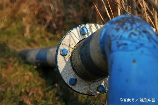 如何灭老鼠_灭老鼠公司_东莞灭老鼠臭虫蟑螂