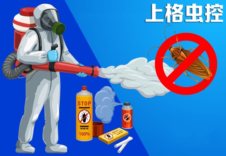 老鼠怕什么气味怎样才能灭老鼠_灭老鼠_杭州灭老鼠