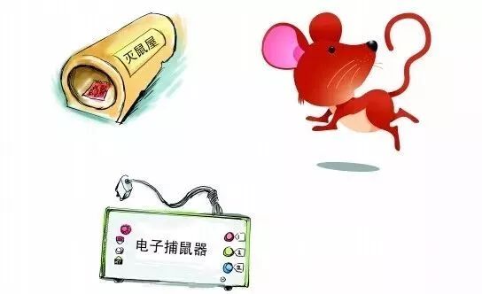 湖州灭老鼠公司_鄂州灭老鼠公司_如何灭老鼠