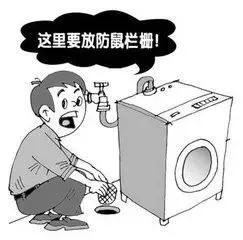 湖州灭老鼠公司_如何灭老鼠_鄂州灭老鼠公司