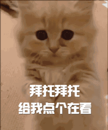 杀虫剂臭虫_灭臭虫药纸_灭臭虫的药