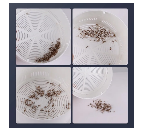 请问灭蚊子好用的东西有哪些_灭蚊子用什么农药好_灭蚊子用什么好