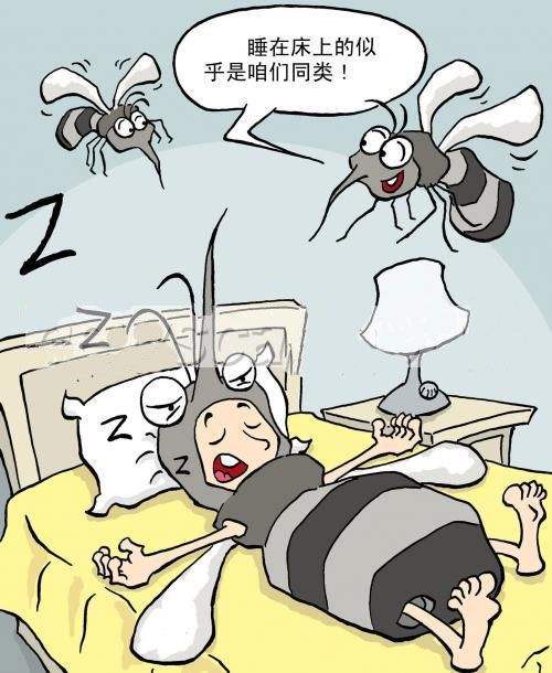 灭蚊子用什么好_最有效的灭蚊子神器_请问灭蚊子好用的东西有哪些