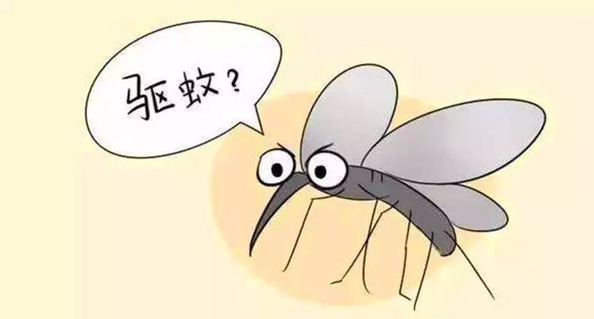 请问灭蚊子好用的东西有哪些_最有效的灭蚊子神器_灭蚊子用什么好