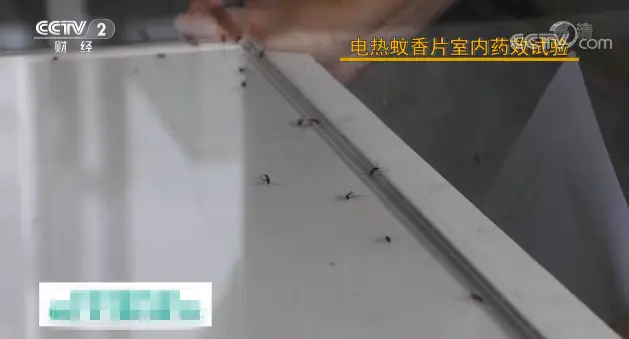 灭蚊神器工作原理_灭蚊神器怎么样_灭蚊子神器测评