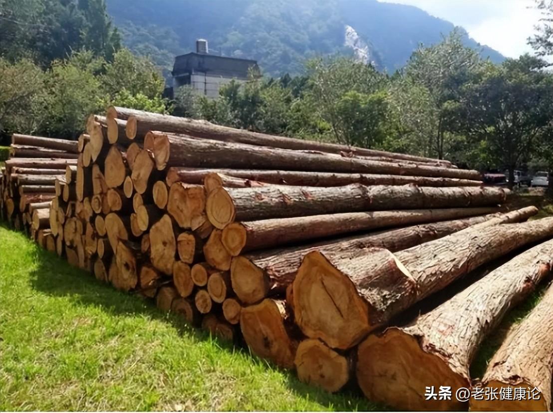 请问灭蚊子好用的东西有哪些_灭蚊子用什么好_最有效的灭蚊子神器
