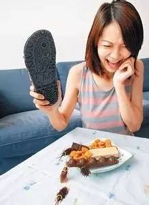 土豆泥加硼酸灭蟑螂有效吗_灭蟑螂土豆硼砂_土豆蟑螂灭泥有效加硼酸吗