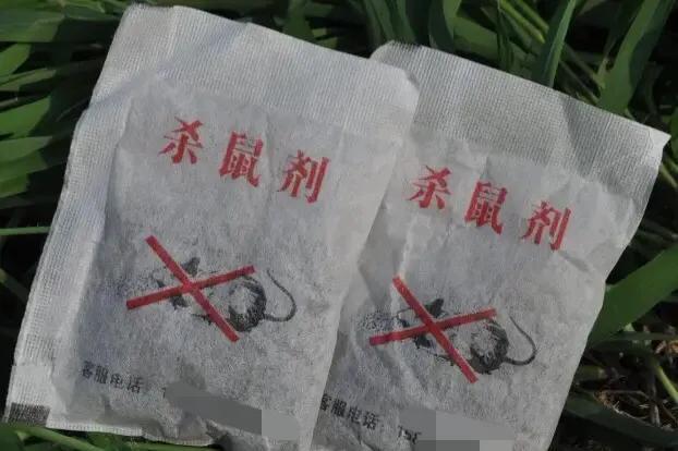 灭老鼠的药特效药_灭老鼠药_灭老鼠的杀虫剂