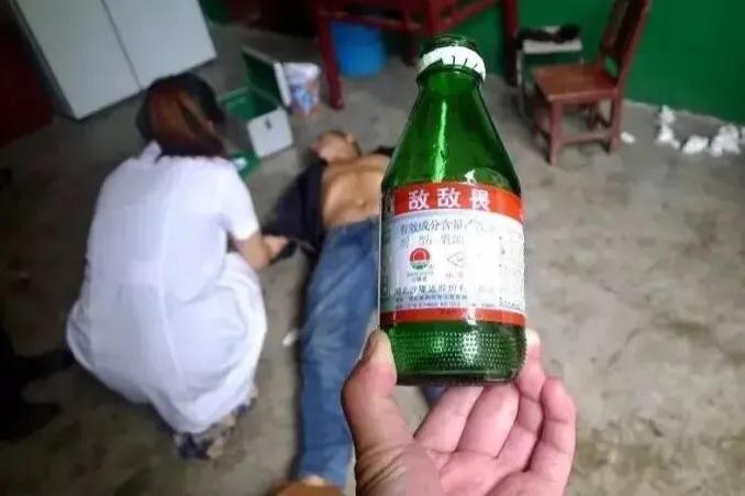 灭老鼠药_灭老鼠的药特效药_灭老鼠的杀虫剂