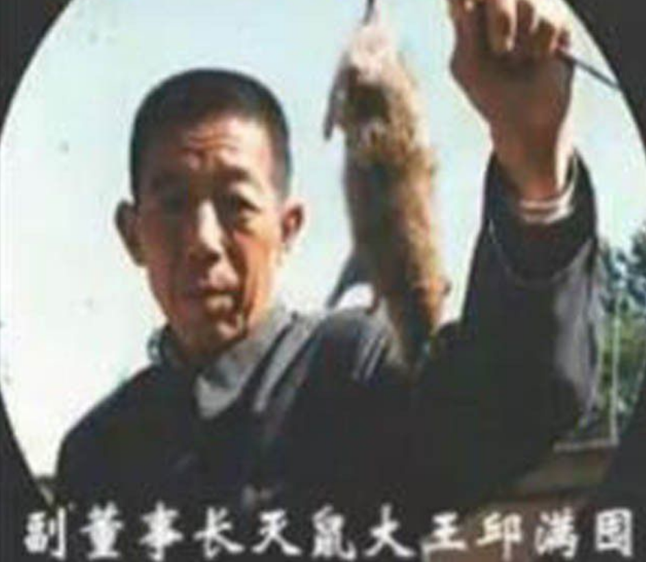 灭老鼠药_老鼠药灭鼠效果_灭老鼠的药