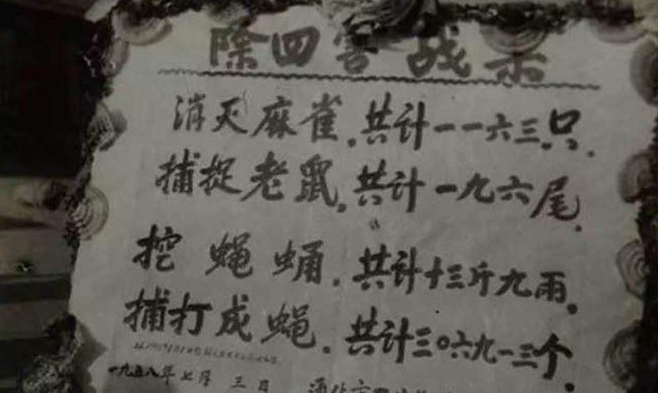 灭老鼠的药_灭老鼠药_老鼠药灭鼠效果