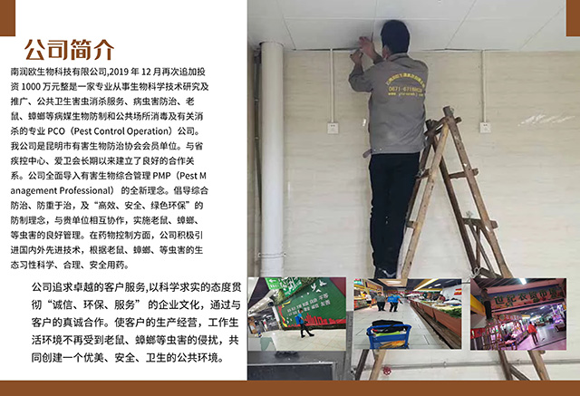 灭杀臭虫_臭虫用什么药灭绝_灭臭虫多少钱