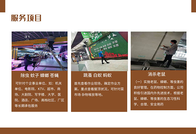 臭虫用什么药灭绝_灭臭虫多少钱_灭杀臭虫