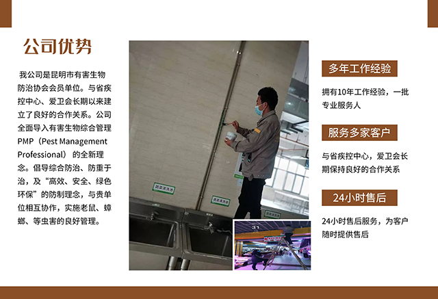 灭臭虫多少钱_臭虫用什么药灭绝_灭杀臭虫