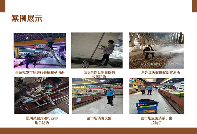 灭杀臭虫_灭臭虫多少钱_臭虫用什么药灭绝