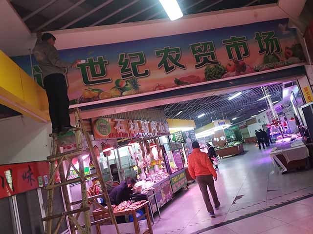灭臭虫多少钱_臭虫用什么药灭绝_灭杀臭虫