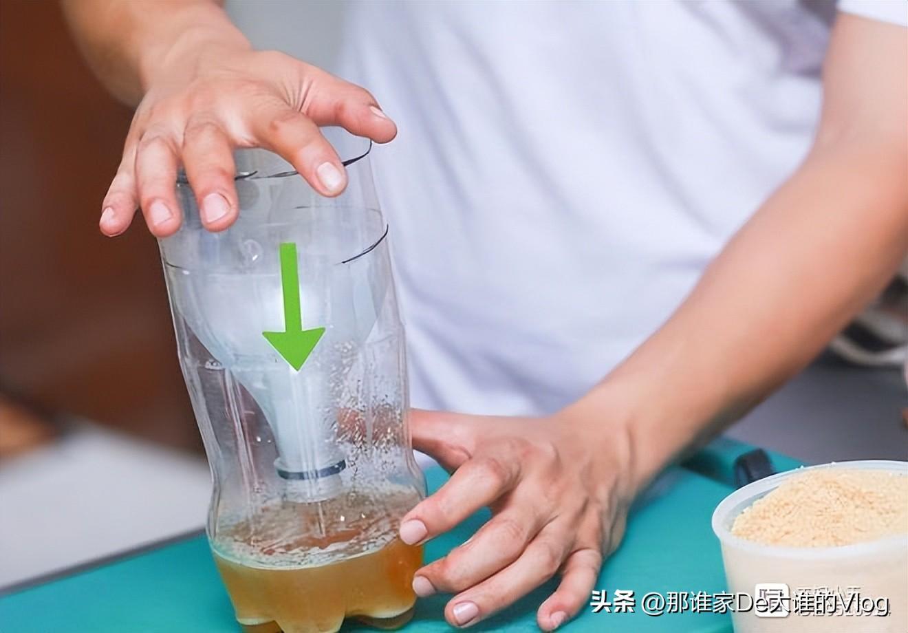 灭苍蝇方法_苍蝇怎样灭_苍蝇消灭苍蝇最好的办法