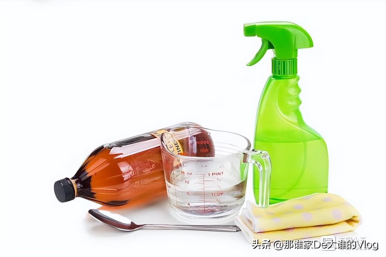 苍蝇消灭苍蝇最好的办法_苍蝇怎样灭_灭苍蝇方法