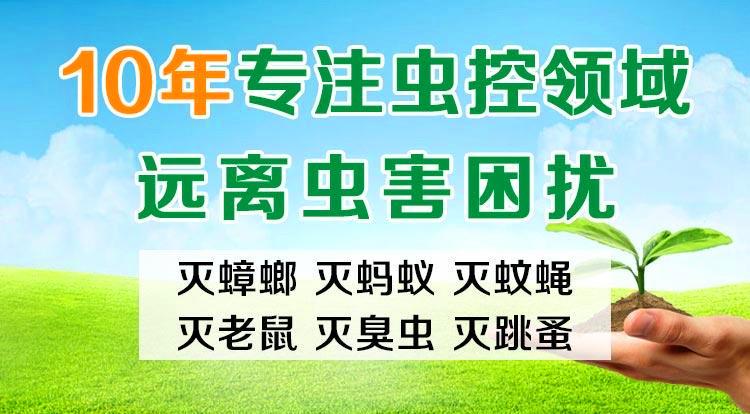 灭老鼠公司有用吗_灭老鼠服务公司_灭老鼠厂家