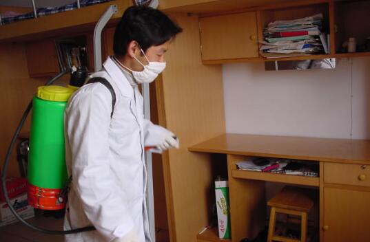 室外灭跳蚤_室内灭跳蚤的特效药_能用在室内的杀灭跳骚的药