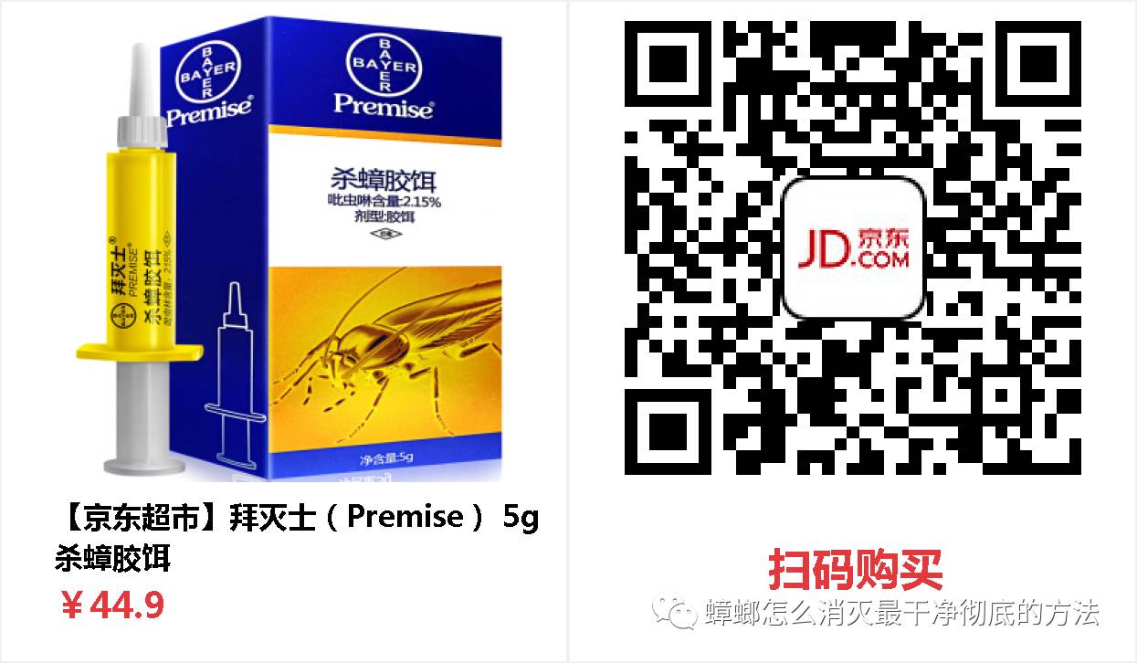 蟑螂怎么消灭最干净彻底的方法_蟑螂消灭干净彻底方法有哪些_蟑螂如何消灭干净
