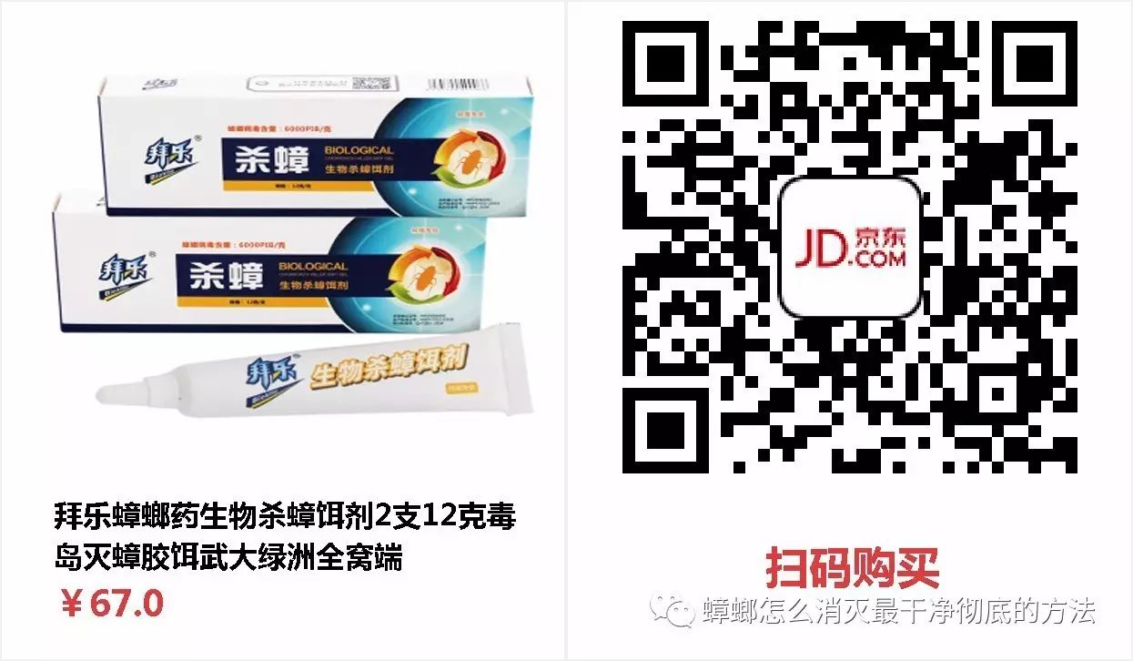 蟑螂消灭干净彻底方法有哪些_蟑螂怎么消灭最干净彻底的方法_蟑螂如何消灭干净