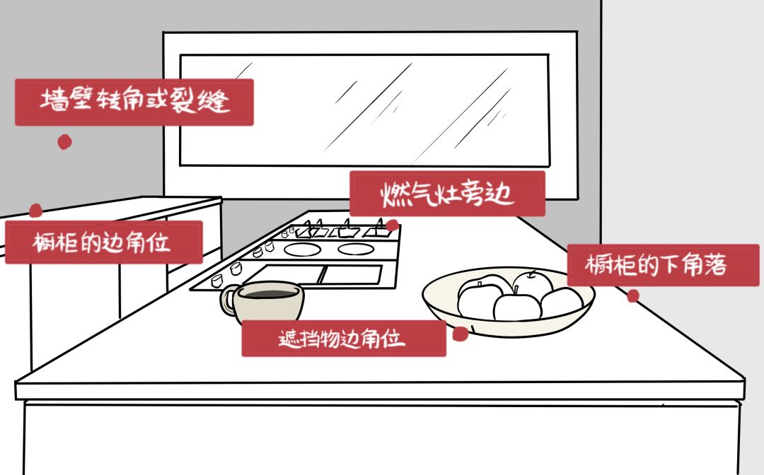 灭蟑螂最好土办法_蟑螂用什么土办法可以消灭掉_灭蟑螂土方法