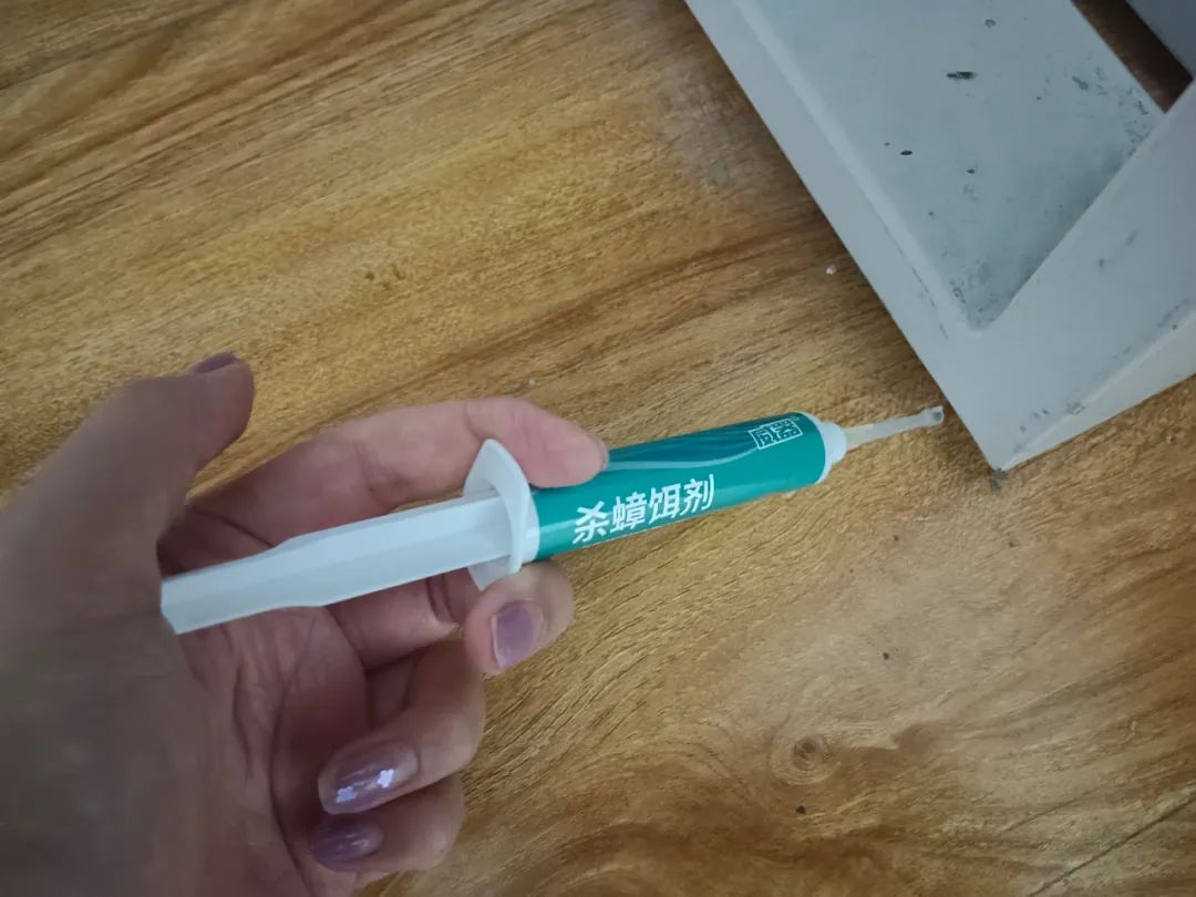蟑螂消灭干净彻底方法视频_蟑螂如何消灭干净_蟑螂怎么消灭最干净彻底的方法
