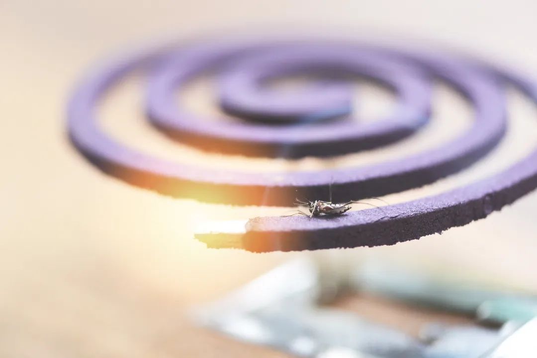灭蚊子器好用吗_好的灭蚊产品_灭蚊子最好的产品