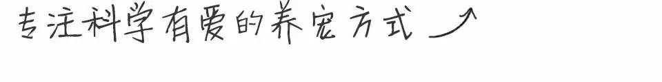 杀跳蚤用什么药最快又能除根_杀跳蚤_杀跳蚤的药