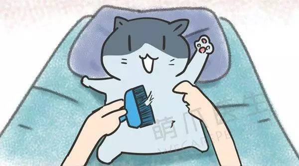 杀跳蚤的药_杀跳蚤用什么药最快又能除根_杀跳蚤