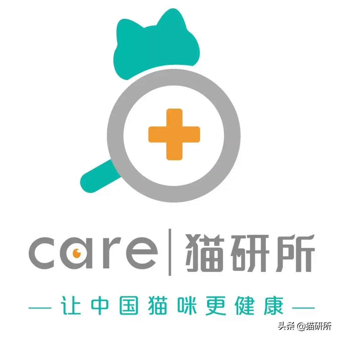 杀跳蚤_杀跳蚤的药_杀跳蚤用什么药最快又能除根