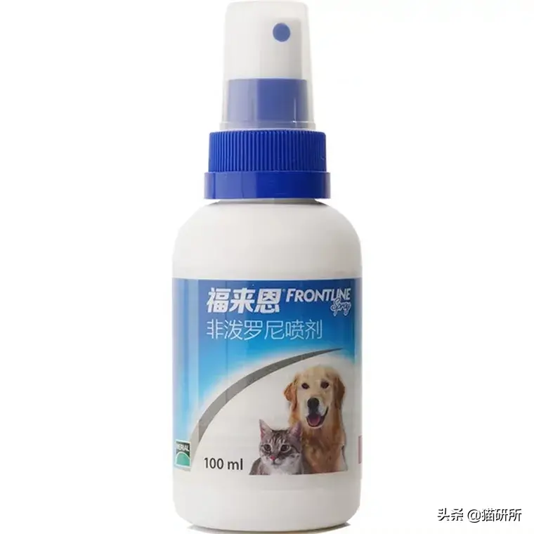 杀跳蚤_杀跳蚤的药_杀跳蚤用什么药最快又能除根