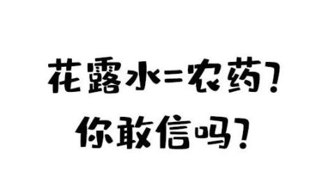 灭蚊子小技巧_灭蚊子小妙招有哪些_怎样灭蚊子家用偏方