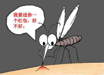 灭蚊子小技巧_灭蚊子小妙招有哪些_怎样灭蚊子家用偏方