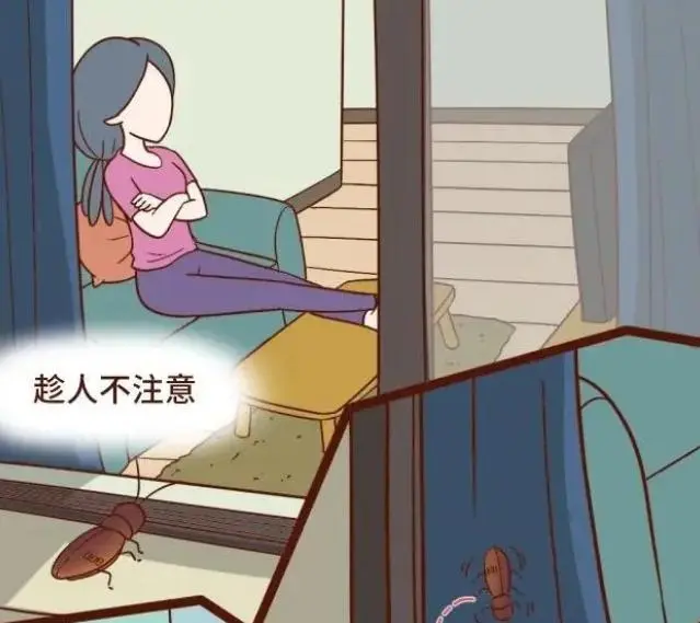 蟑螂怕高温吗_蟑螂怕什么_蟑螂怕消毒水吗
